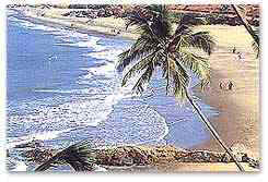 Beach Goa Tour Goa, India